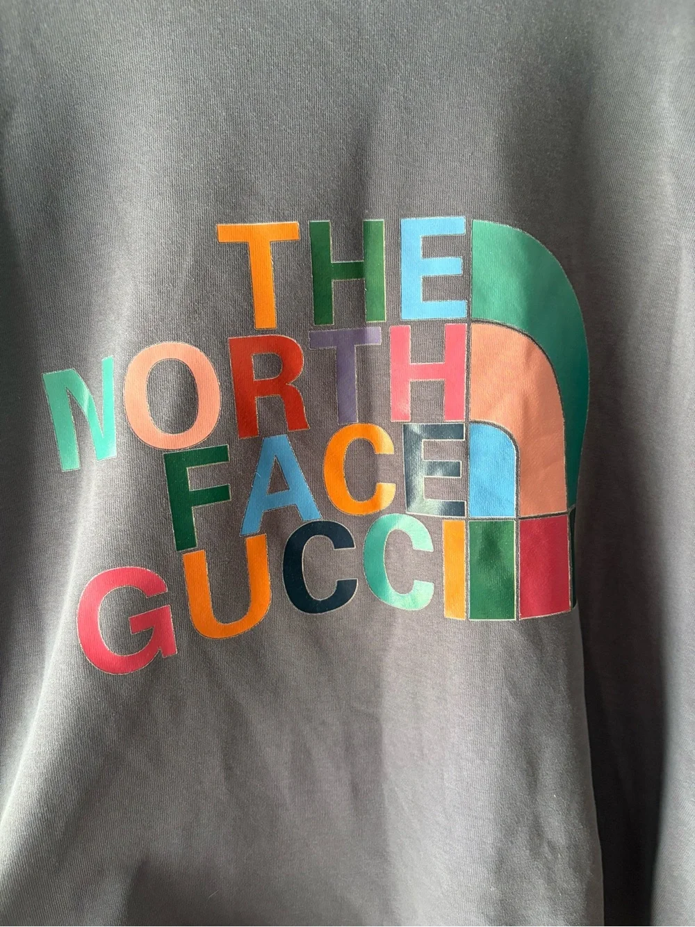 Gucci x The North Face Sweatshirt
